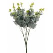Eukalyptus / Ruskus / Buxus
