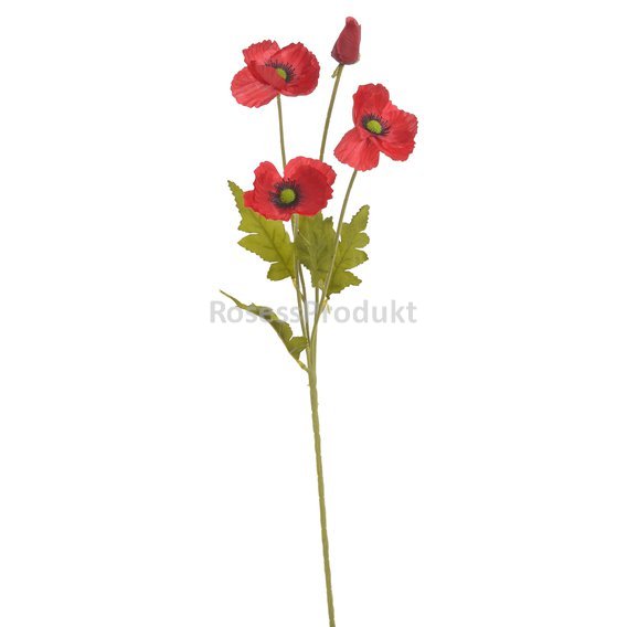 1262