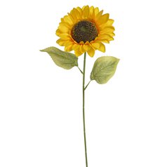 3831