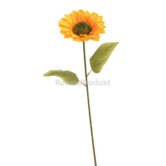 5249