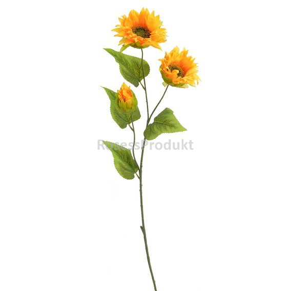 5250