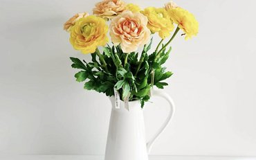 Ranunculus / Pryskyřník